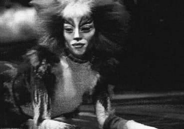 Cats / Stage Performance #11