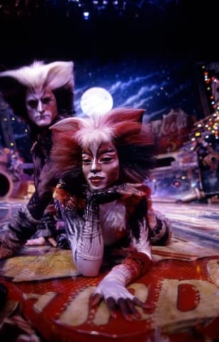 Cats / Stage Performance #5